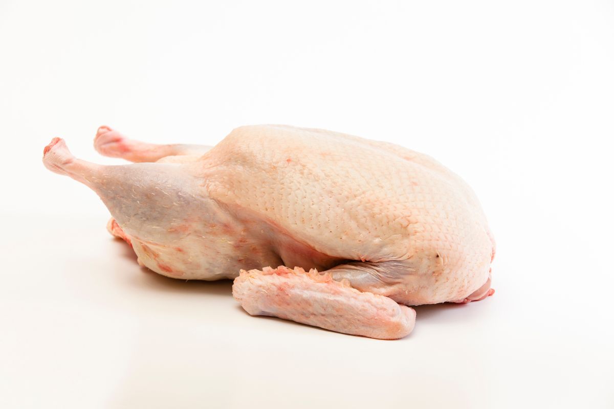 Canard gavé entier